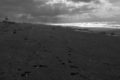 Λίζη Πιστόλα